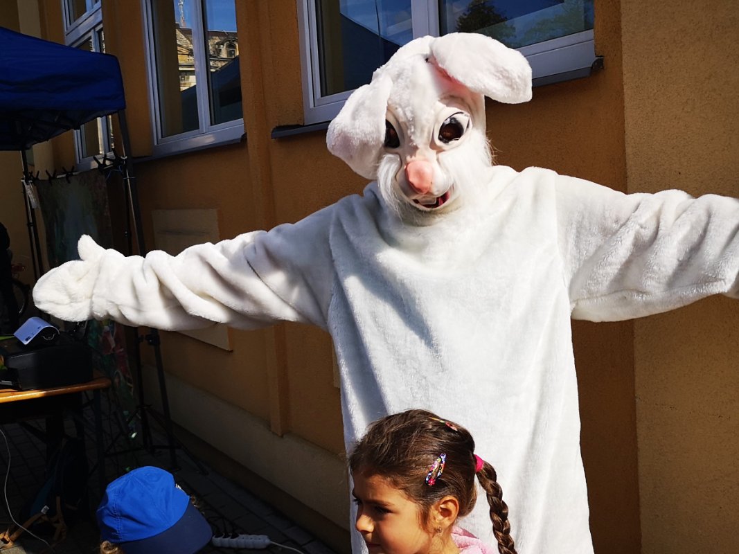 Oslavili jsme 4. narozeniny našeho králíčka Hildy