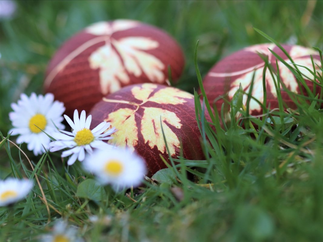 Velikonoční vajíčka v přírodním stylu
